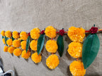 Aam Palav Kalawa Toran
