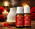 Rose – Pure Aroma Oil (10ml-Pack of 2)