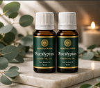 Handcrafted Eucalyptus Pure Aroma Oil made in India – HeritageKosh