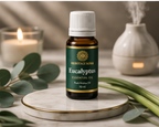 Handcrafted Eucalyptus Pure Aroma Oil made in India – HeritageKosh