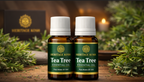 Handcrafted Tea Tree Pure Aroma Oil made in India – HeritageKosh