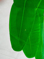 Handcrafted Banana Leaf Decor made in India – HeritageKosh