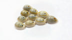 Handcrafted Cowrie Shells for DIY made in India – HeritageKosh