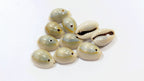 Handcrafted Cowrie Shells for DIY made in India – HeritageKosh